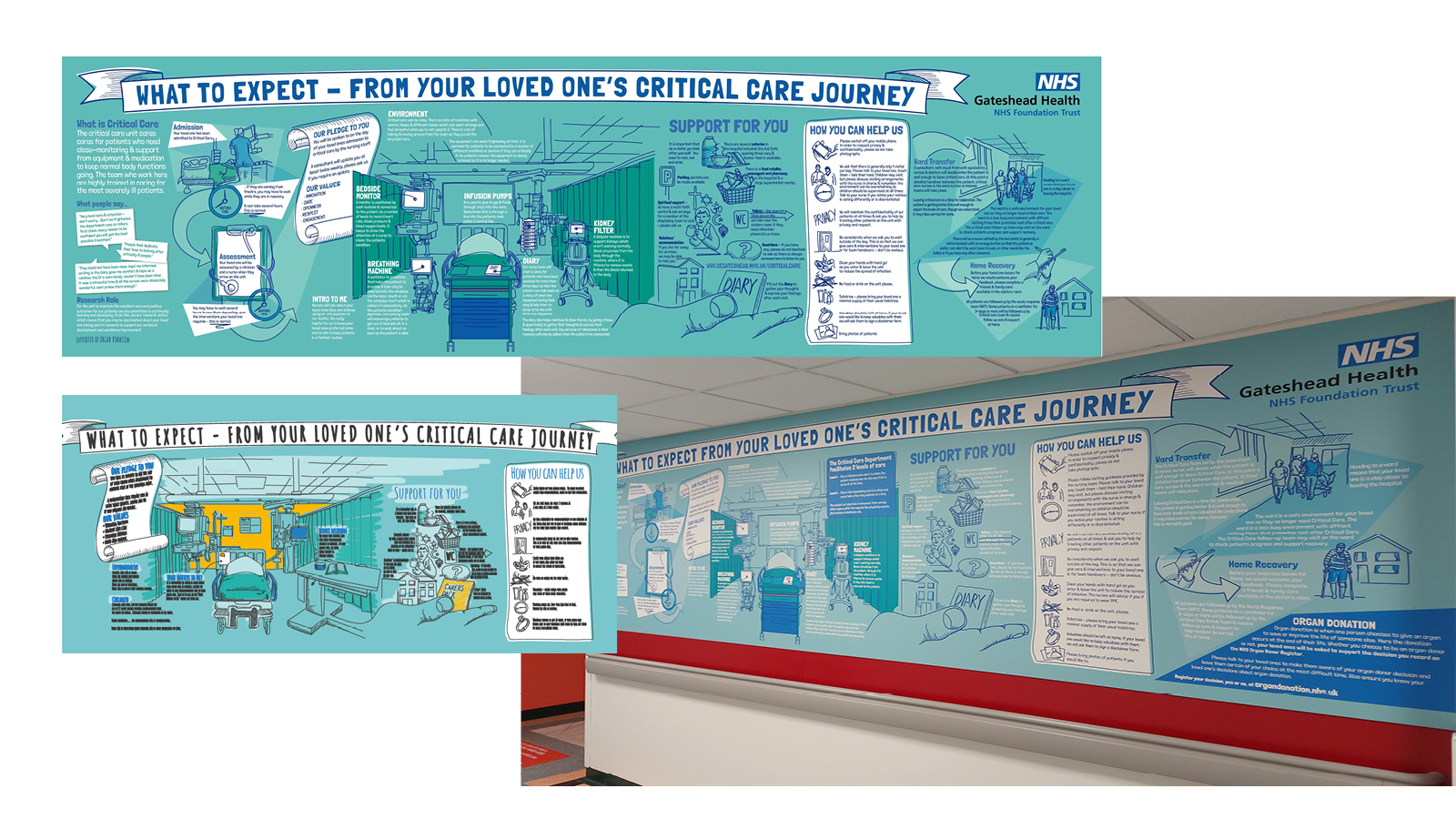 Information Scribe Mural examples across a range of hospitals and Trusts